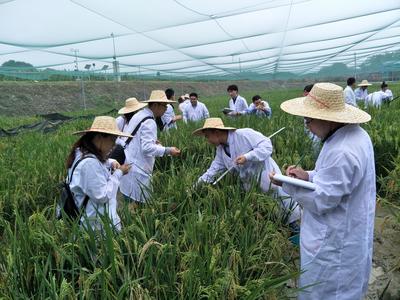 农业农村部科技发展中心 引领农业科学研究和试验发展的新征程