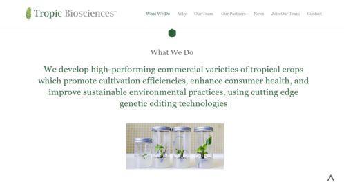 热带基因点亮未来 Tropic Biosciences完成2850万美元B轮融资，引领农业科技变革