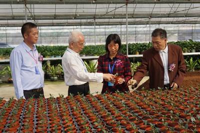 神舟带回的太空蔬菜更好吃？江门“飞天”种子专业户揭示农业科研新篇章